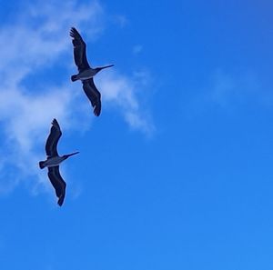 Meet your Posher, Mimi